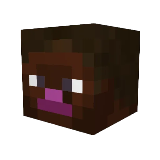 Wataamelon Minecraft avatar head, 3D render