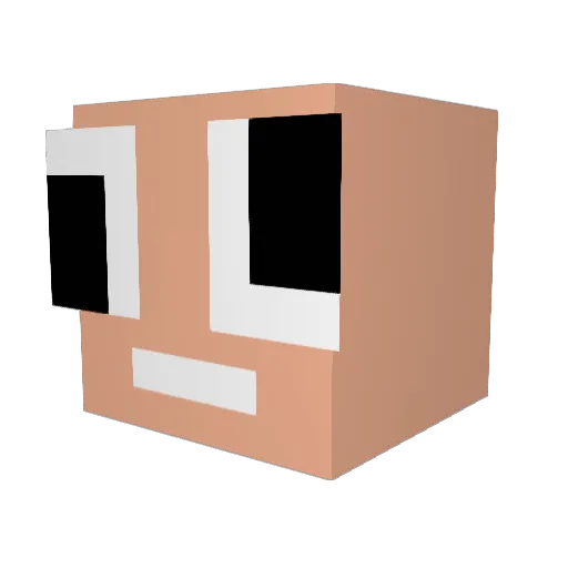 Watafackah Minecraft avatar head, 3D render