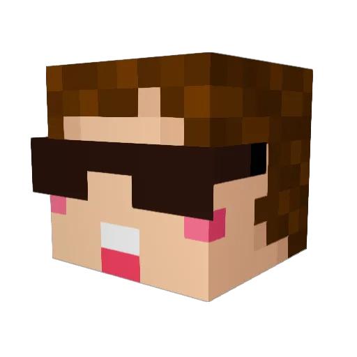 WatanabeRaiden Minecraft avatar head, 3D render