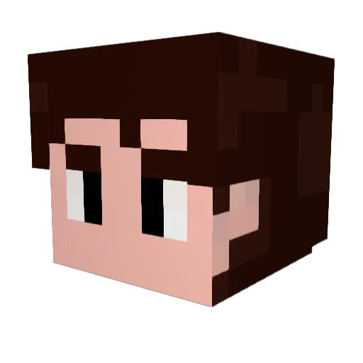 Watashipse Minecraft avatar head, 3D render