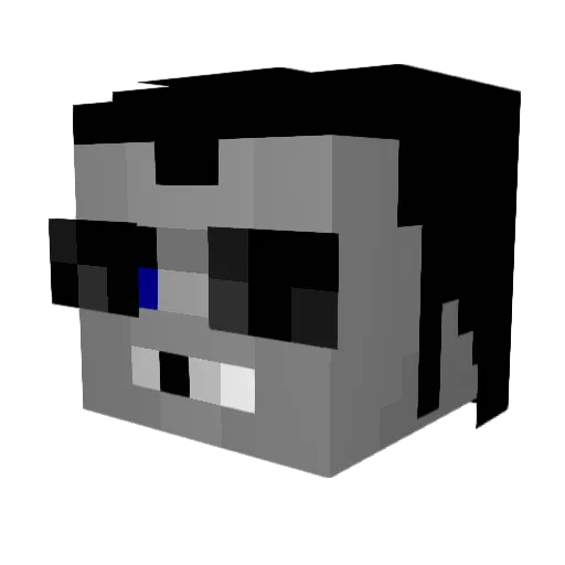 Watch_The_Skies Minecraft avatar head, 3D render