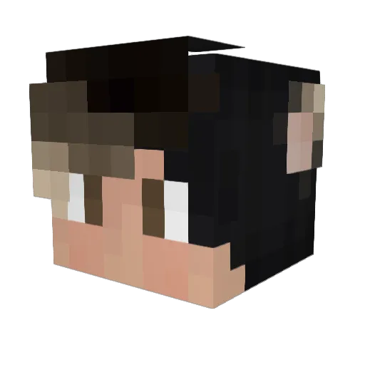 WatcherGrian Minecraft avatar head, 3D render