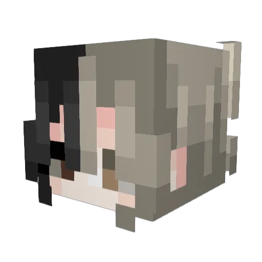 WaterBool Minecraft avatar head, 3D render