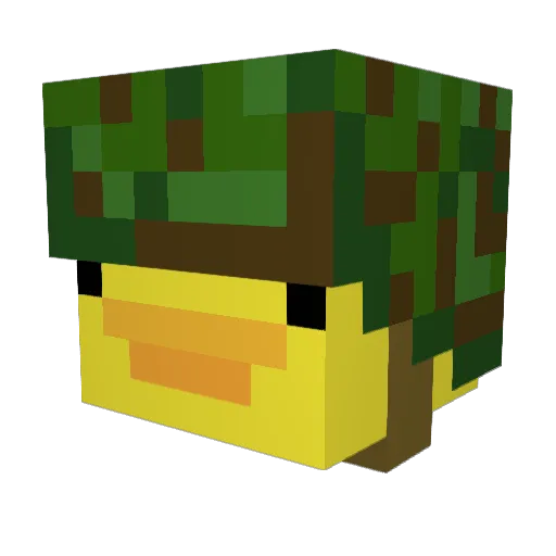 WaterBuffalo14 Minecraft avatar head, 3D render