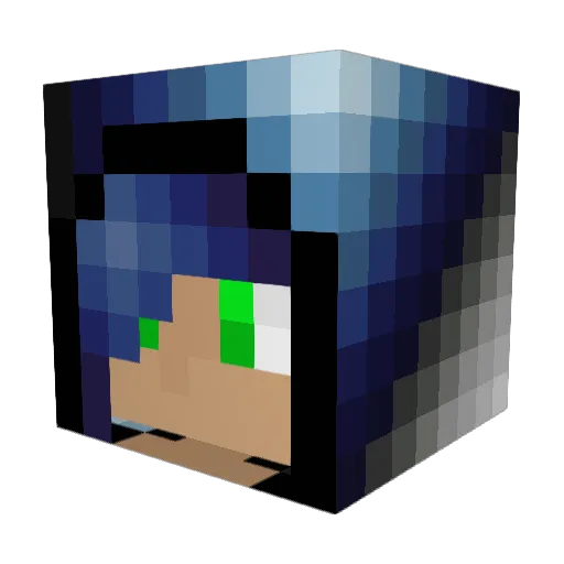 WaterDragon2005 Minecraft avatar head, 3D render