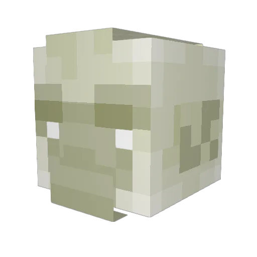 WaterFace22 Minecraft avatar head, 3D render
