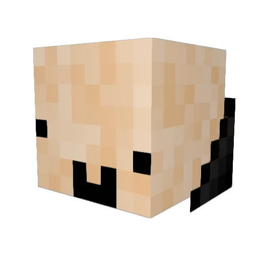 WaterFireCraft Minecraft avatar head, 3D render