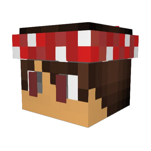 WaterGun218 Minecraft avatar head, 3D render