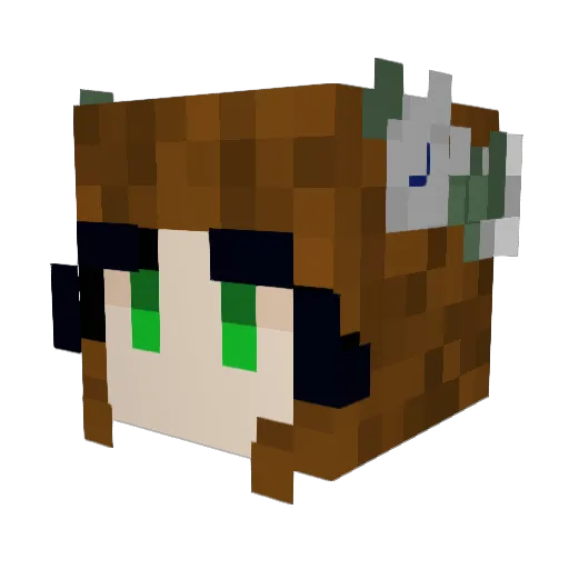 WaterLily365 Minecraft avatar head, 3D render