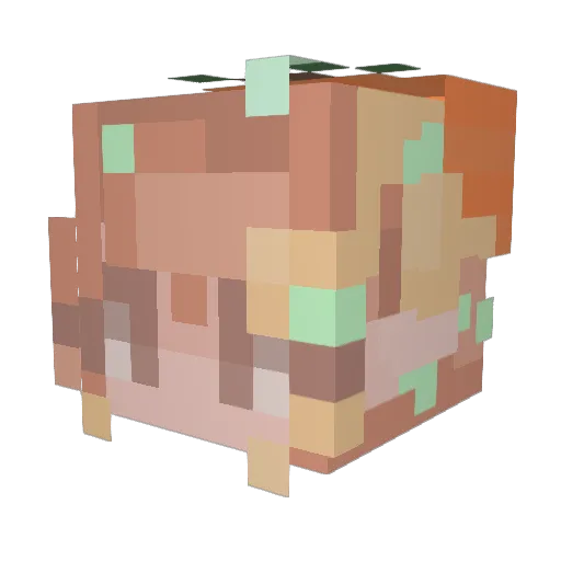 WaterLivi Minecraft avatar head, 3D render