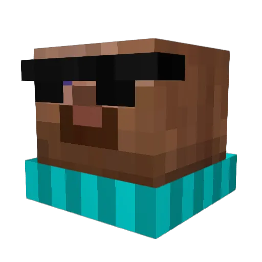 WaterMasterr Minecraft avatar head, 3D render