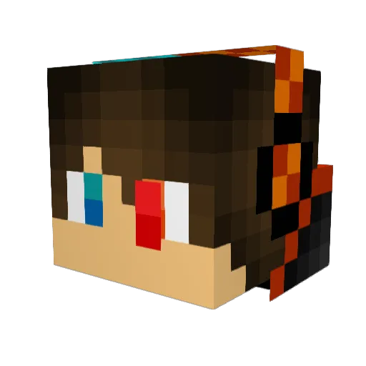 WaterMelon1747 Minecraft avatar head, 3D render