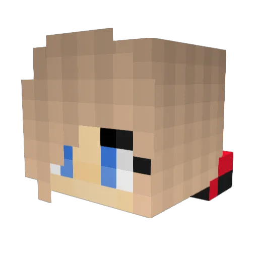 WaterMelon55 Minecraft avatar head, 3D render
