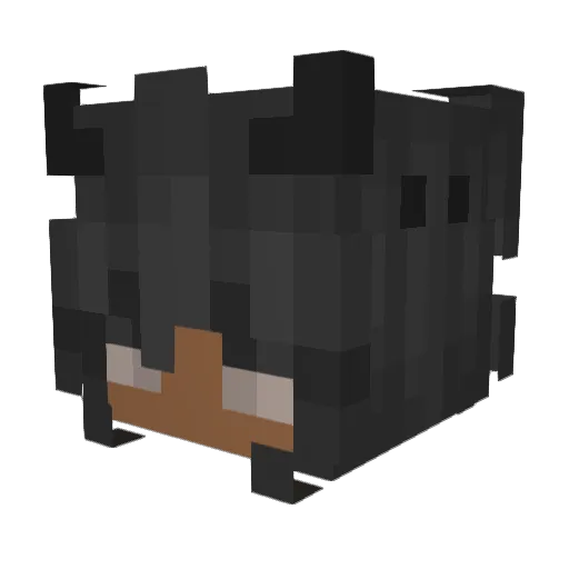 WaterMop Minecraft avatar head, 3D render
