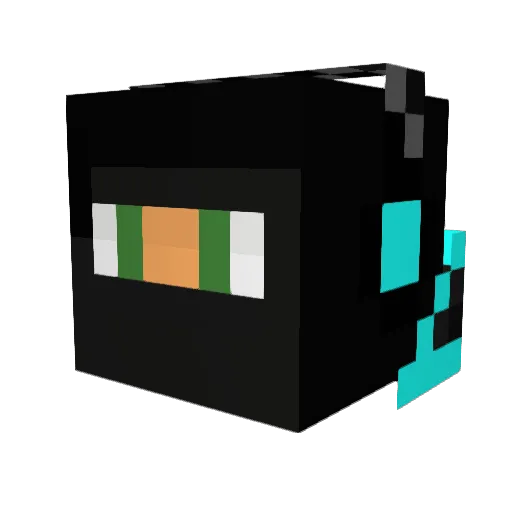 WaterNinja122 Minecraft avatar head, 3D render