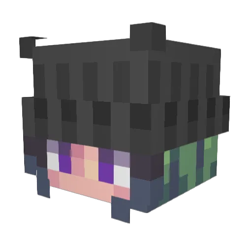 WaterPuffin Minecraft avatar head, 3D render