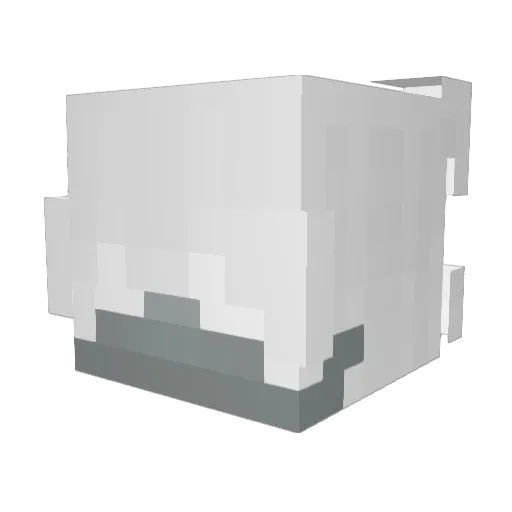 WaterRL Minecraft avatar head, 3D render