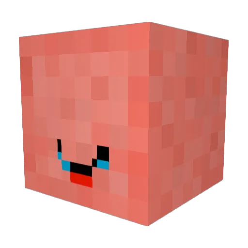 WaterSandwich Minecraft avatar head, 3D render