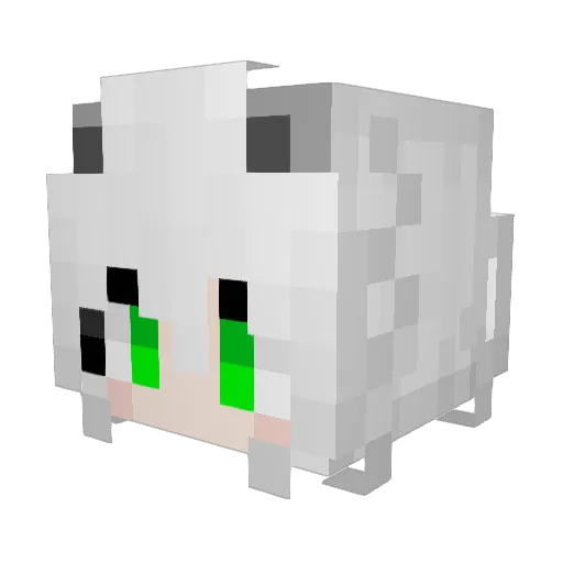 WaterSenlin Minecraft avatar head, 3D render