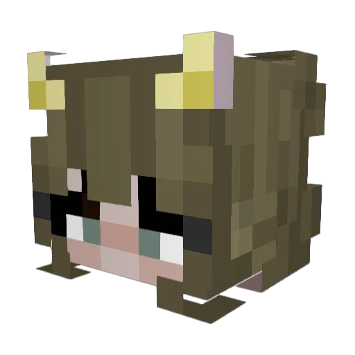 WaterSheepPOTATO Minecraft avatar head, 3D render