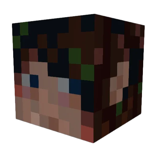 WaterSheeps Minecraft avatar head, 3D render