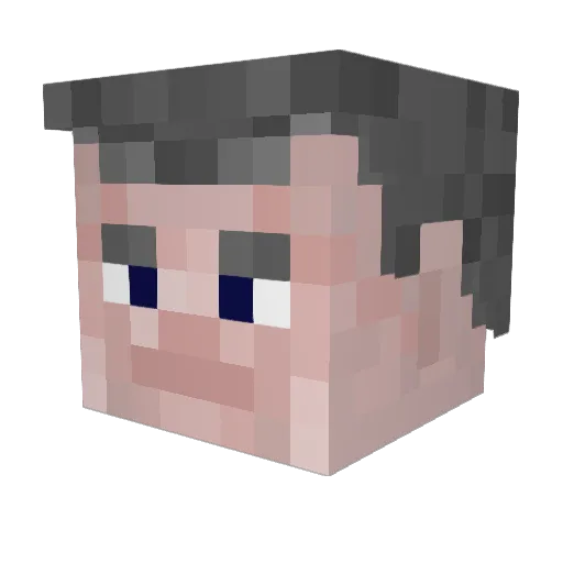 WaterTane347 Minecraft avatar head, 3D render