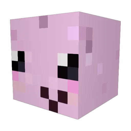 WaterWalvis123 Minecraft avatar head, 3D render