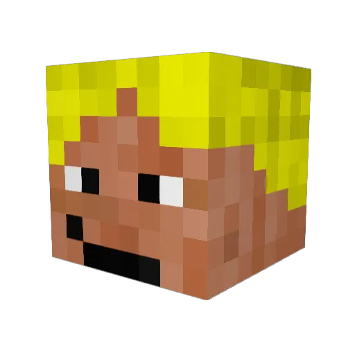 WaterZ Minecraft avatar head, 3D render