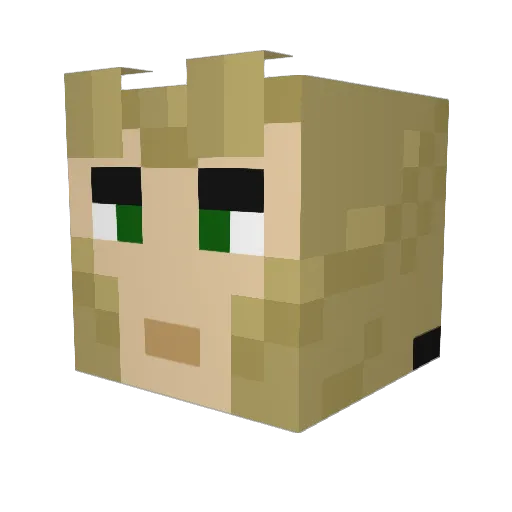Water_Bear Minecraft avatar head, 3D render