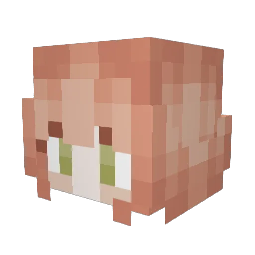 Water_Craver Minecraft avatar head, 3D render