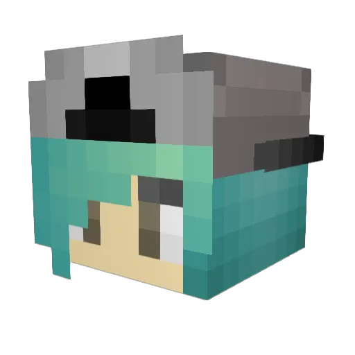 Water_Fart679 Minecraft avatar head, 3D render
