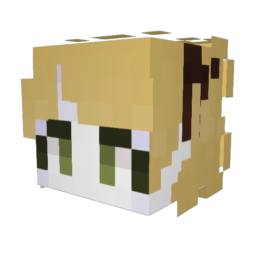 Water_Inhaler Minecraft avatar head, 3D render
