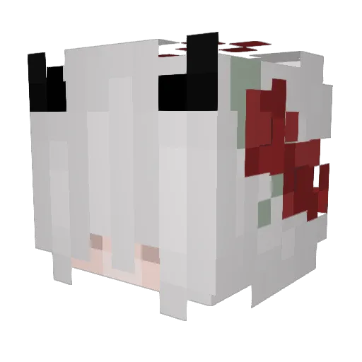 Water_Melon_Chan Minecraft avatar head, 3D render