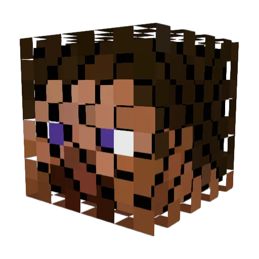 WaterbearB Minecraft avatar head, 3D render