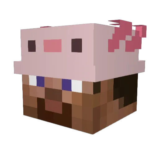Waterbowls Minecraft avatar head, 3D render