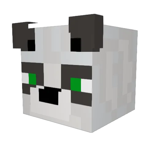 Waterfall777_ Minecraft avatar head, 3D render