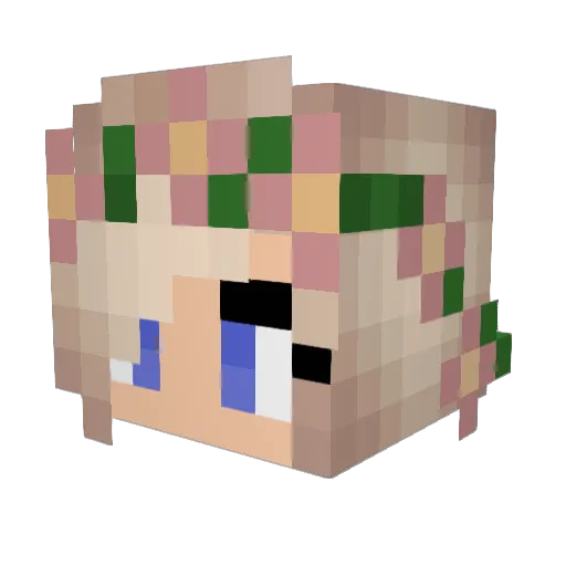 Waterfalljo Minecraft avatar head, 3D render
