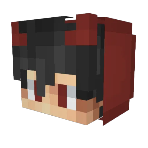 Waterfox_ Minecraft avatar head, 3D render