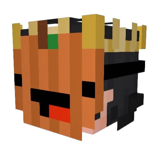 Waterfox_gamer Minecraft avatar head, 3D render
