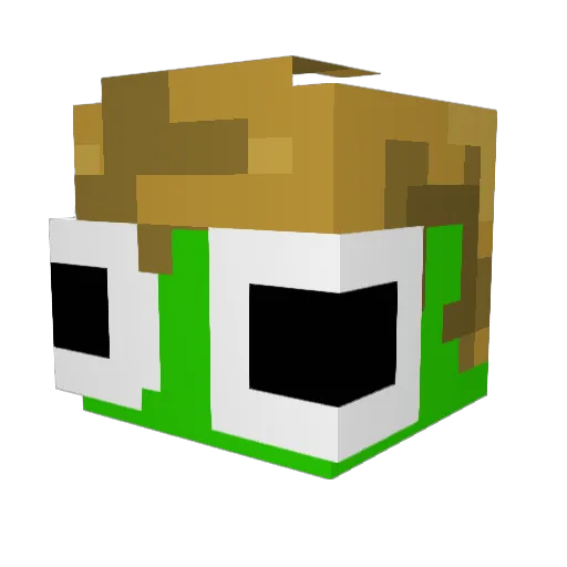 Waterfox_sk Minecraft avatar head, 3D render