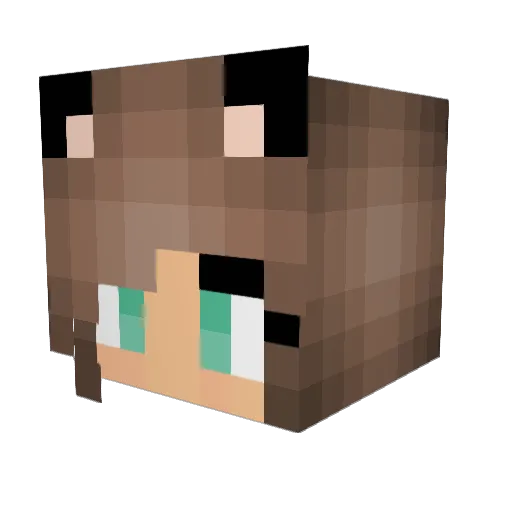 WaterishDog Minecraft avatar head, 3D render