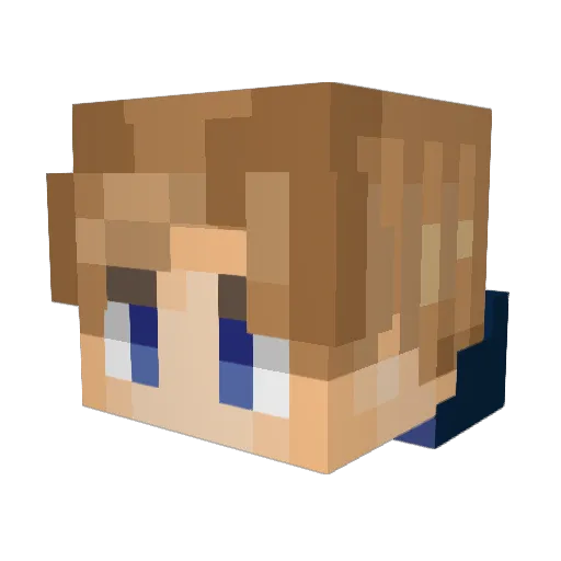 Waterlily18 Minecraft avatar head, 3D render