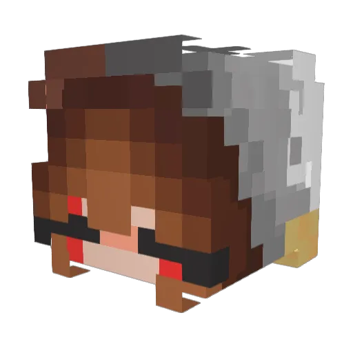 Waterlxly Minecraft avatar head, 3D render