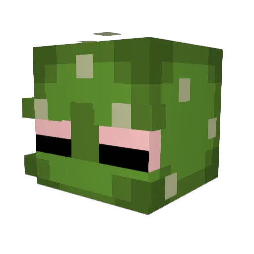 Watermeatsoup Minecraft avatar head, 3D render