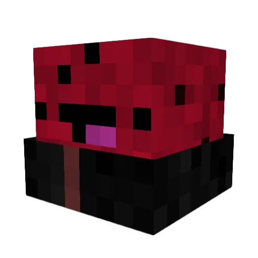 Watermellooon00 Minecraft avatar head, 3D render