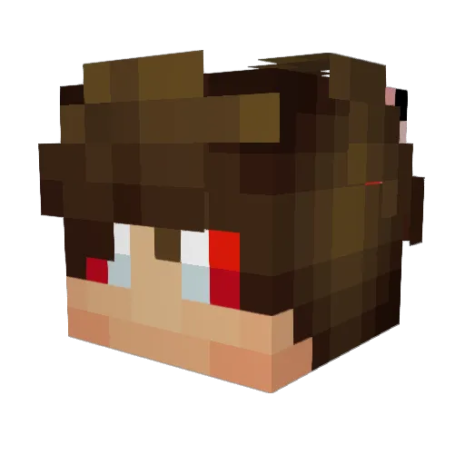 Watermelo311 Minecraft avatar head, 3D render