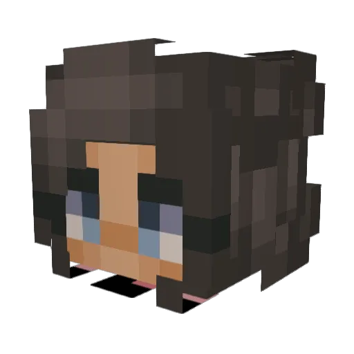 Watermelon408 Minecraft avatar head, 3D render
