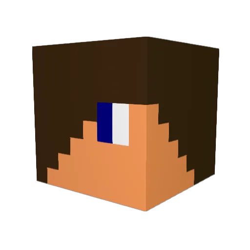 WatermelonArmy Minecraft avatar head, 3D render