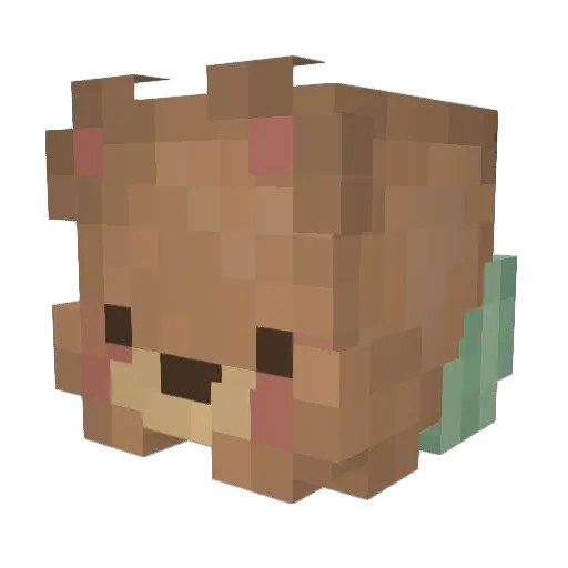 WatermelonBear4 Minecraft avatar head, 3D render