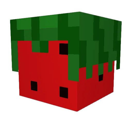 WatermelonBoi44 Minecraft avatar head, 3D render